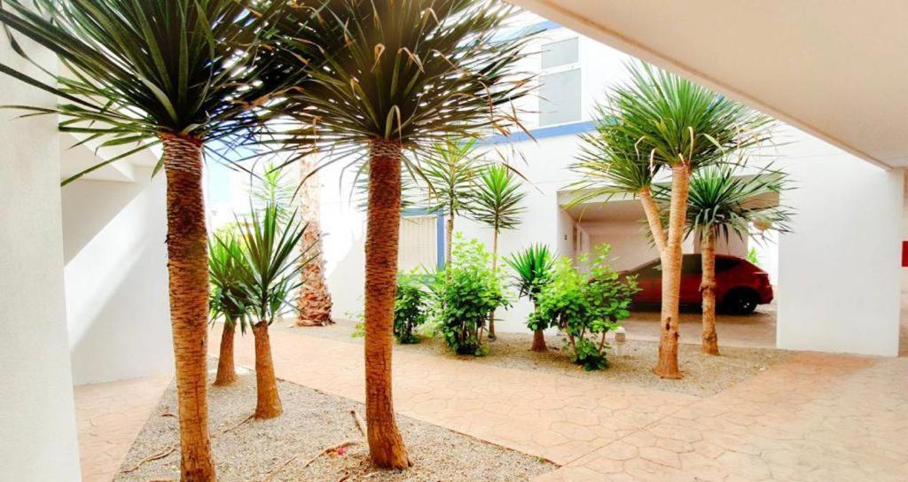 Apartment With Sea Views In Las Terrazas/Playa Flamenca Dehesa de Campoamor  Eksteriør bilde