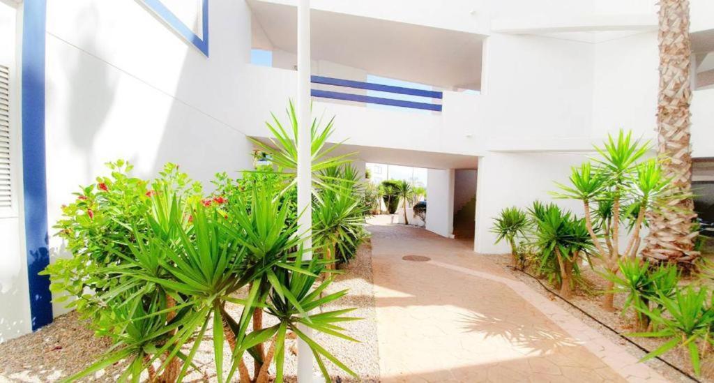 Apartment With Sea Views In Las Terrazas/Playa Flamenca Dehesa de Campoamor  Eksteriør bilde
